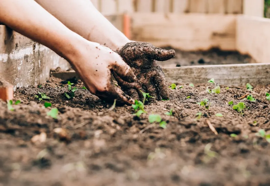 Puna Seedlings, Website Design & Brand
